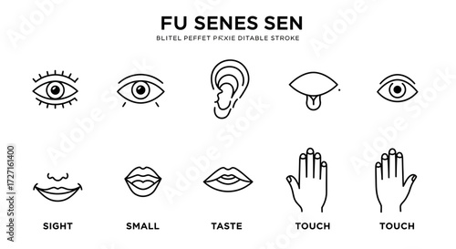 Five senses icons representing sight, smell, hearing, taste and touch