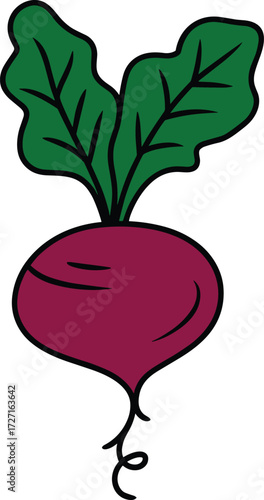 A Simple Hand-Drawn Cartoon of a Healthy Purple Beetroot or Radish with Green Leaves and a Curly Root, Representing Fresh Vegetables and Organic Farming Vector Art.
