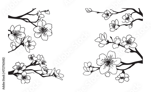 black and white silhouette vector set of sakura blossoms