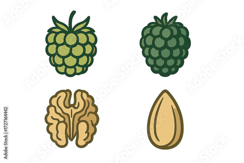 Healthy food elements featuring fresh green berries, crunchy walnuts, and nutritious almonds, perfect for diet and nutrition concepts