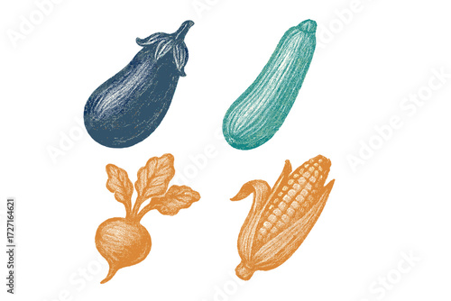 Assortment of fresh garden vegetables with textured drawing style including eggplant zucchini beet and corn