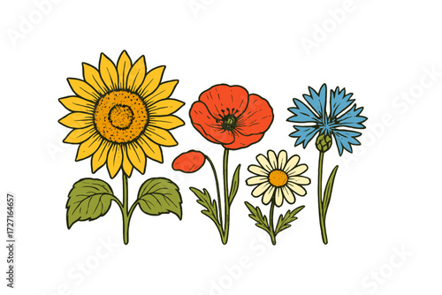 Vibrant botanical collection featuring various wildflowers including a bright yellow sunflower, red poppy, white daisy, and blue cornflower