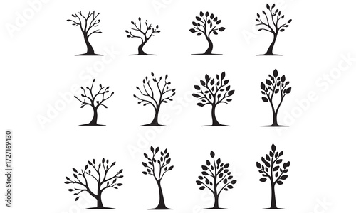 Silhouette Tree Collection Various Tree Silhouettes for Design