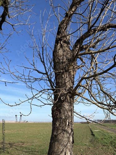 RWE lignite excavator on the edge of the Hambach opencast mine. View through a chestnut tree. Near Bürgewald (formerly Morschenich), Germany, Europe, on February 25, 2025