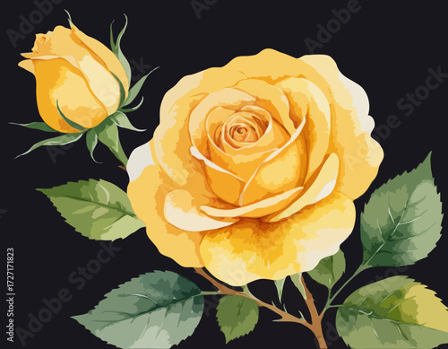 Watercolor yellow rose flower