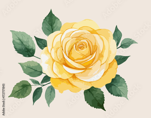 Watercolor yellow rose flower