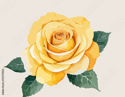 Watercolor yellow rose flower