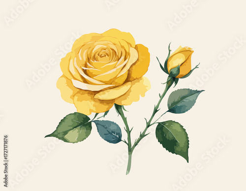 Watercolor yellow rose flower