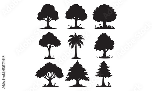 Silhouette Tree Collection Various Tree Silhouettes for Design