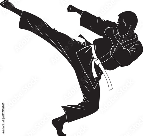 Silhouette of a Man Performing a High Kick in Martial Arts