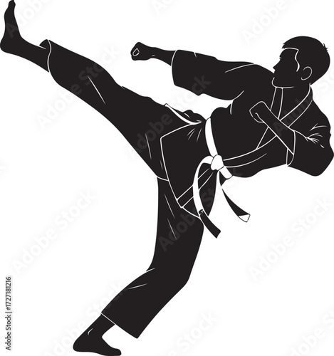 Silhouette of a Man Performing a High Kick in Martial Arts