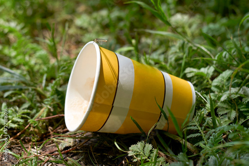Yellow striped cup discarded on grass surrounded by green foliage.
