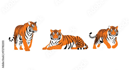 Majestic tigers in various poses, showcasing their powerful and graceful nature.
