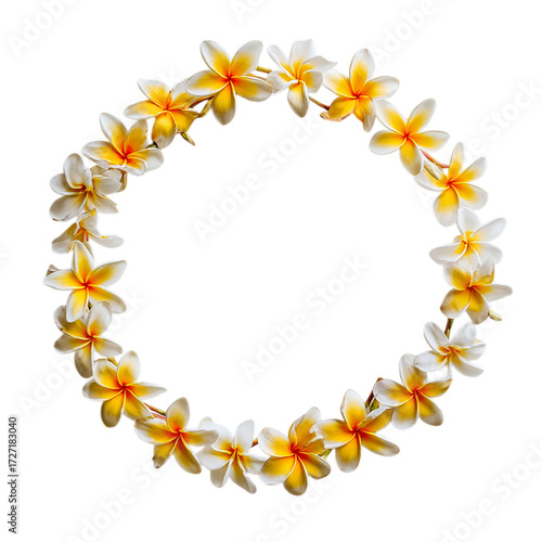 Wallpaper Mural Hawaii garland of frangipani flowers in circle on transparent background Torontodigital.ca