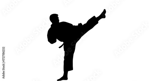 Silhouette of a martial artist performing a powerful side kick in a karate gi against a clean white background