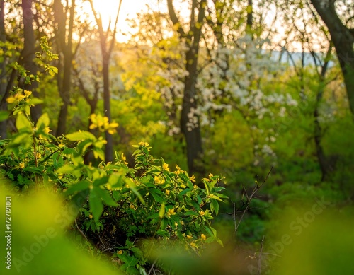 Sunlight filters through trees and flowers