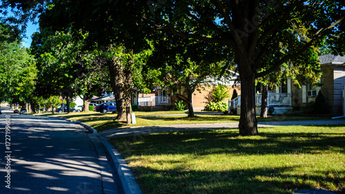 Panoramic view of a row of houses on a curved shady street under tall trees.