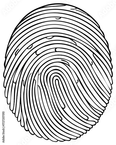 Fingerprint illustration showing unique ridges and patterns in detail