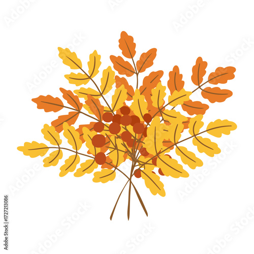 Hand drawn vector illustration of autumn rowan branch with yellow and orange leaves and red berries. Concept of seasonal foliage, natural bouquet and fall decoration