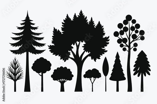 Black Silhouette Illustration of Various Trees Coniferous, Deciduous, and Bare Branches Against White Background