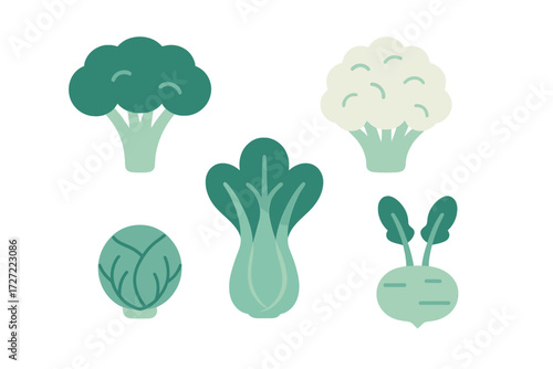 A vibrant and healthy collection of fresh green vegetables, including broccoli, cauliflower, bok choy, brussels sprout, and kohlrabi, arranged neatly for a healthy diet concept