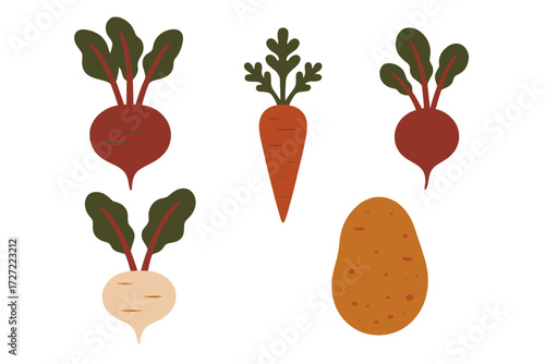 Assortment of fresh root vegetables including beets, carrots, potato, and turnip