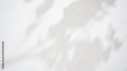 白い壁に映る木漏れ日