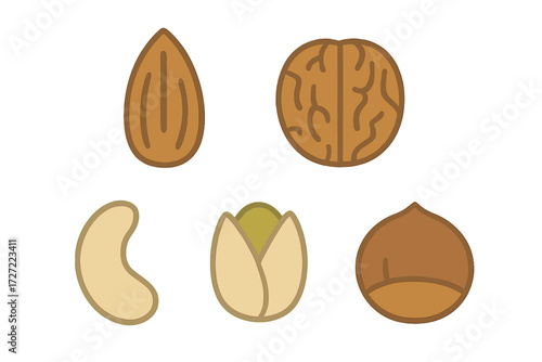Assortment of healthy edible nuts including almond, walnut, cashew, pistachio, and chestnut varieties for snacking and cooking
