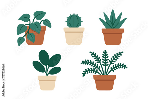 Stylized collection of common houseplants in simple pots, showcasing a variety of botanical forms and textures