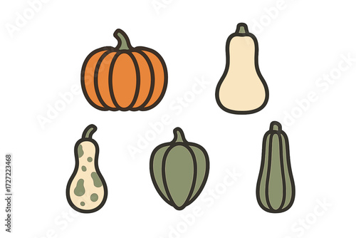 Collection of various autumn gourds and squashes in different shapes and colors, perfect for harvest season and Thanksgiving designs