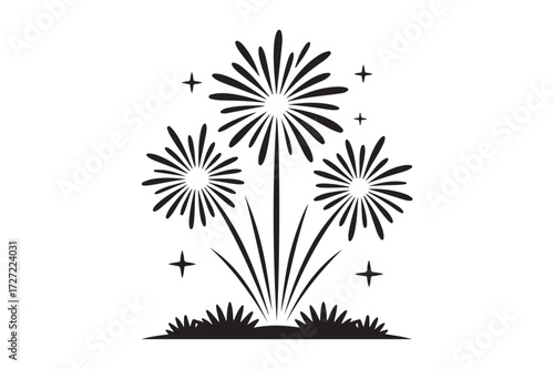 Stylized black and white fireworks display illustration