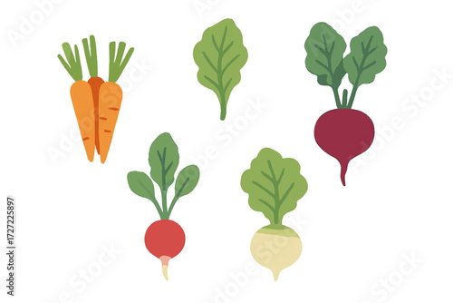 Colorful assortment of fresh garden root vegetables including carrots radishes beets and turnips with green leaves