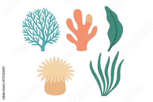 Vibrant collection of diverse underwater marine life elements including various coral species, seaweed, and a sea anemone