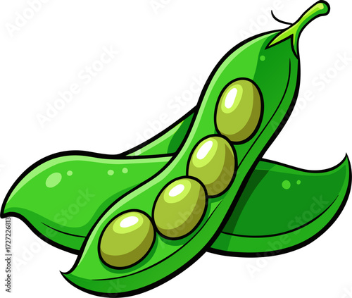 Edamame Vector Illustration | Fresh Soybean Pod Vegetable Graphic Design