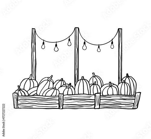 Pumpkins in a crate at a holiday market line art style