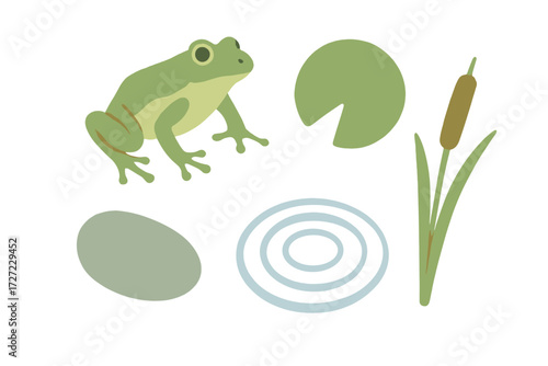 Vibrant green frog alongside a floating lily pad, tall cattail, smooth stone, and concentric water ripples