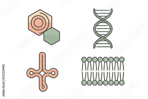 Fundamental biological molecules and cellular structures including DNA, RNA, virus, and cell membrane