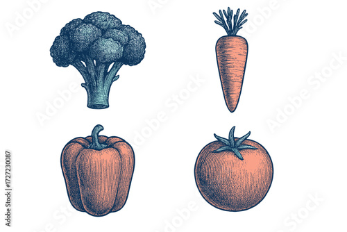 Nutritious garden produce featuring crisp broccoli, sweet carrot, colorful bell pepper, and ripe red tomato