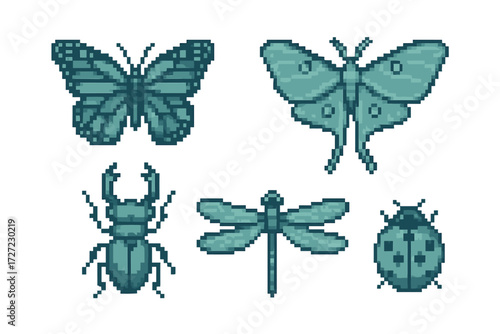 Detailed pixel art collection of common flying and crawling insects including butterfly moth beetle dragonfly and ladybug