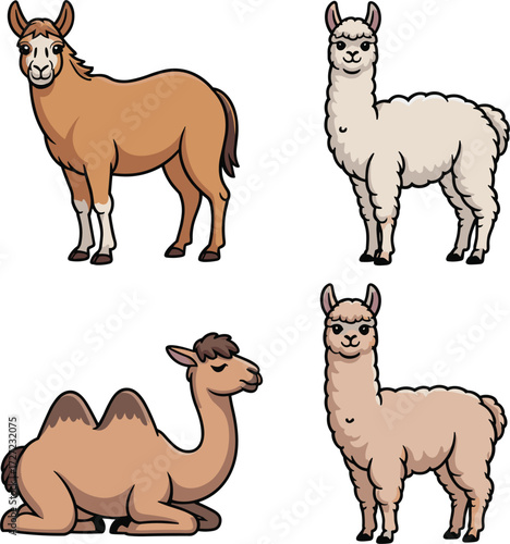 set of vector Mule, Camel, Llama, Alpaca on white background