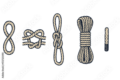 Collection of various rope knots including figure eight, square, bowline, and coiled cordage