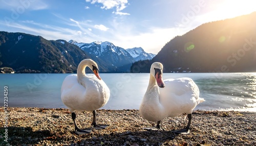Fototapeta Naklejka Na Ścianę i Meble -  Two swans on a lakeshore, mountain backdrop