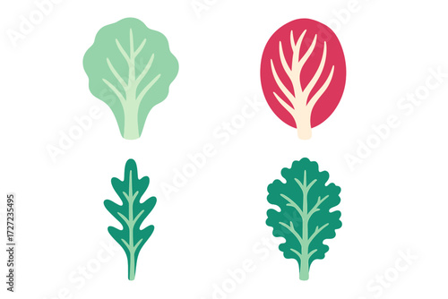 Assortment of fresh leafy green vegetables including lettuce, arugula, kale, and red cabbage for healthy eating and cooking
