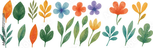Vector watercolor cartoon illustrations of various baic leaves and flowers collection