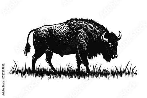 Striking Black and White Illustration of a Bison Grazing in Grassy Field