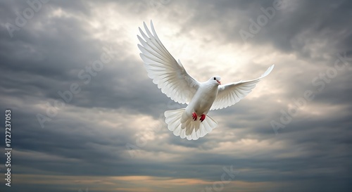 Wallpaper Mural White dove in majestic flight against dramatic cloudy sky, bathed in ethereal light. Symbol of peace, freedom, and hope. Torontodigital.ca