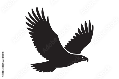 Silhouette of a powerful eagle in flight with wings spread wide