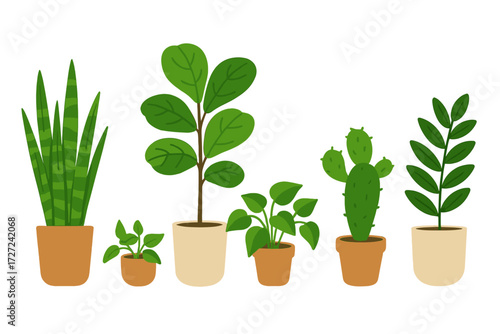 Collection of various potted green houseplants including snake plant, fiddle leaf fig, and cactus for home and office decoration