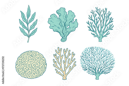 Stylized collection of diverse marine plants, seaweed, and various coral forms for underwater nature designs and aquatic themes