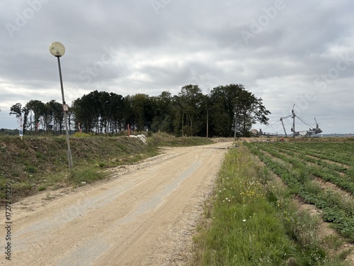 Path to the Sin Forest at the Hambach open-pit mine with RWE lignite excavator in the background in Kerpen Manheim, Germany, Europe, on August 17, 2025